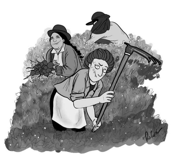 Rosa Luxemburgo e a reinvenção da política