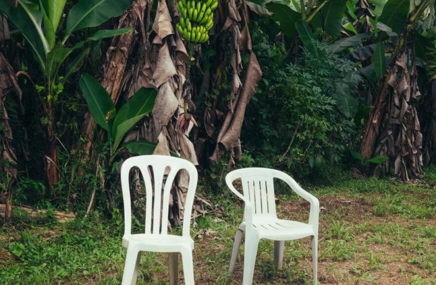 Capa do disco “DeBÍ TiRAR MáS FOTOs” de Bad Bunny, lançado em 05 de janeiro de 2025.